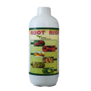 Root rich